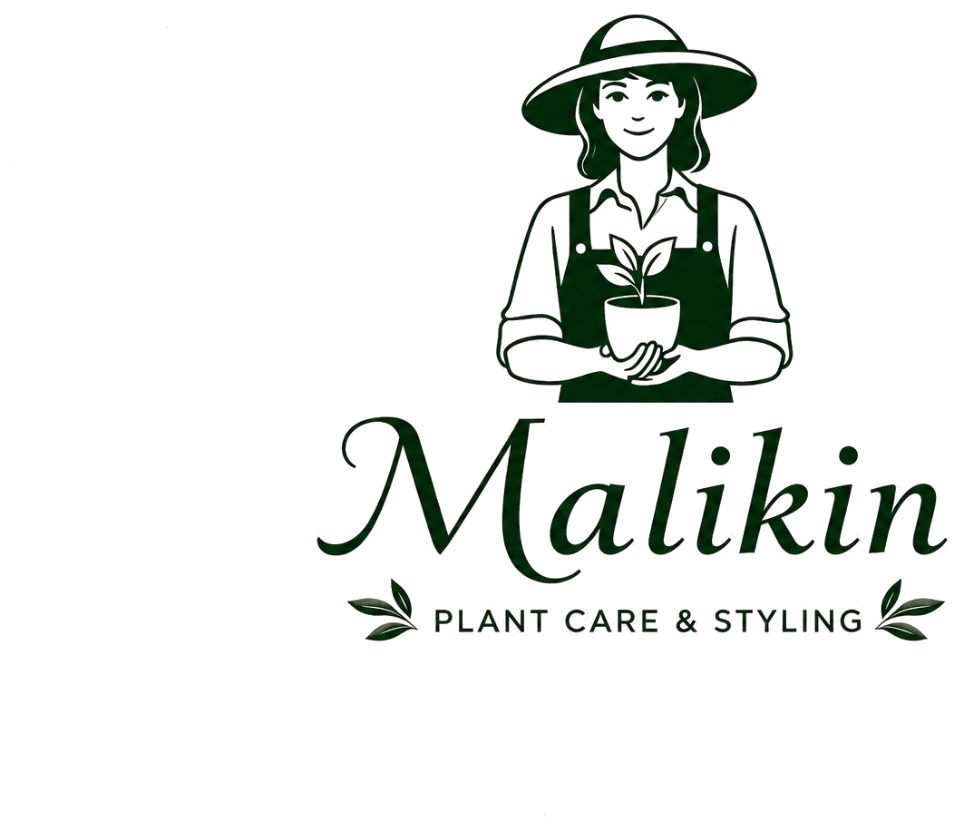 Malikin — Plant Care & Styling